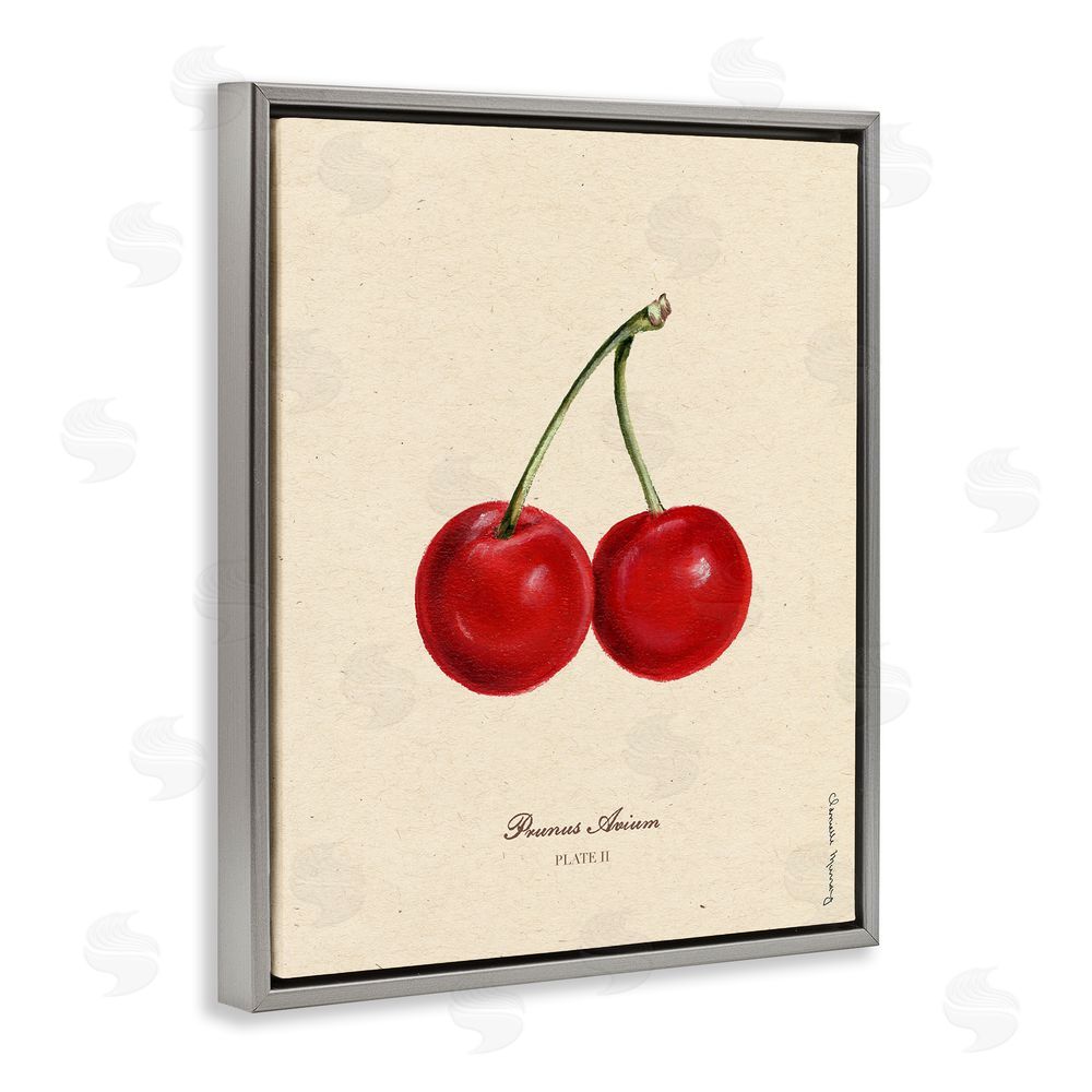 Danielle Murray Cherry Fruit Portrait Gray Floating Frame Canvas Wall Art Print