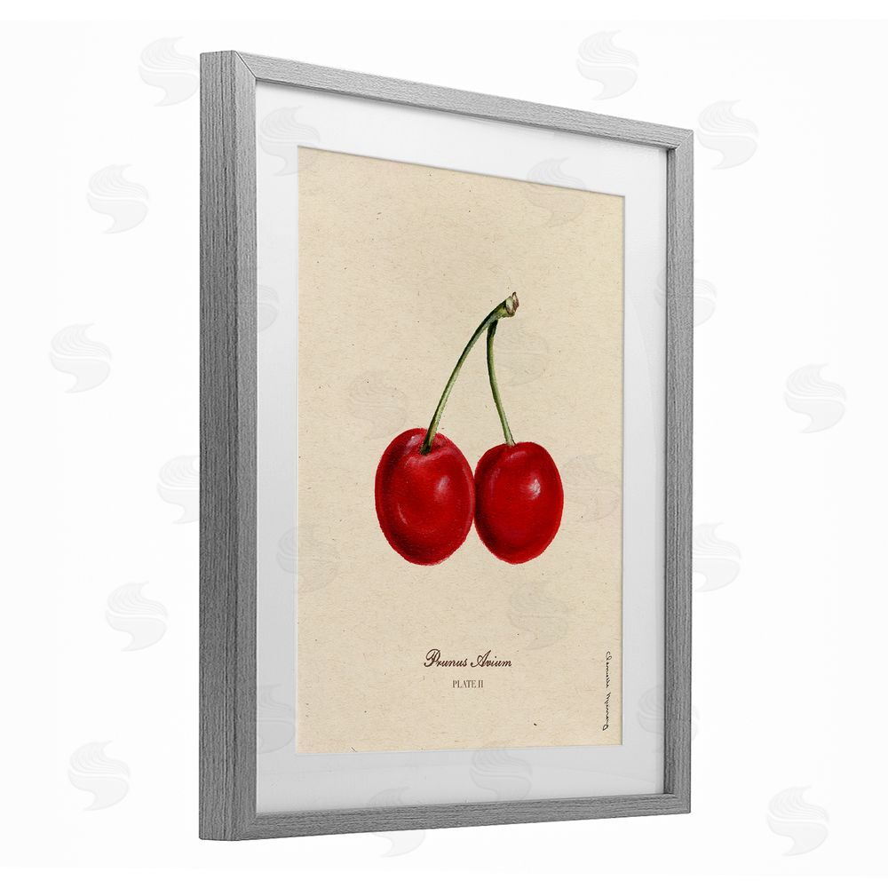 Danielle Murray Cherry Fruit Portrait Gray Framed Print Under Glass Wall Art