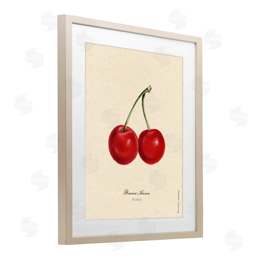 Danielle Murray Cherry Fruit Portrait Birch Framed Print Under Glass Wall Art