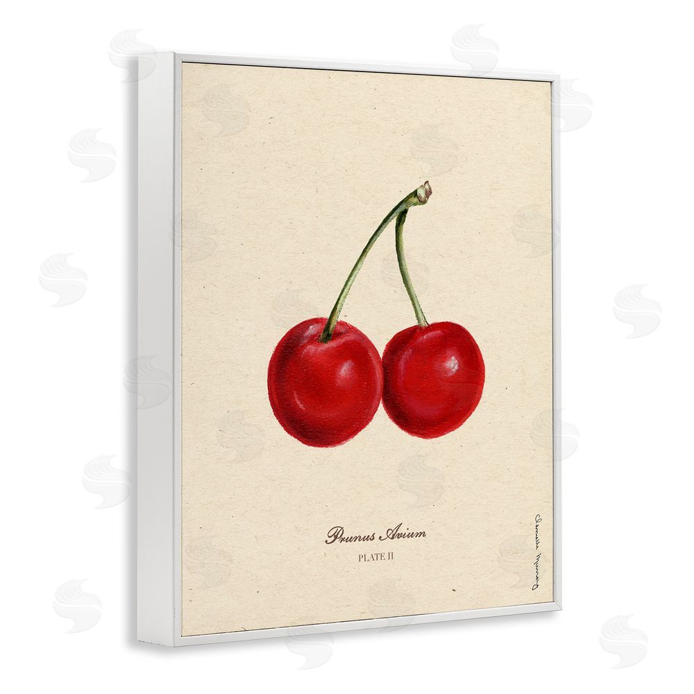 Danielle Murray Cherry Fruit Portrait White Framed Giclee Wall Art Print