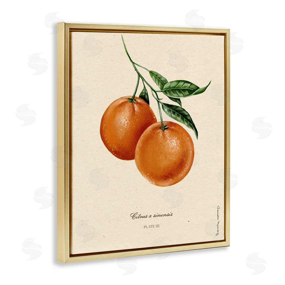 Danielle Murray Orange Fruit Portrait Gold Floating Frame Canvas Wall Art Print
