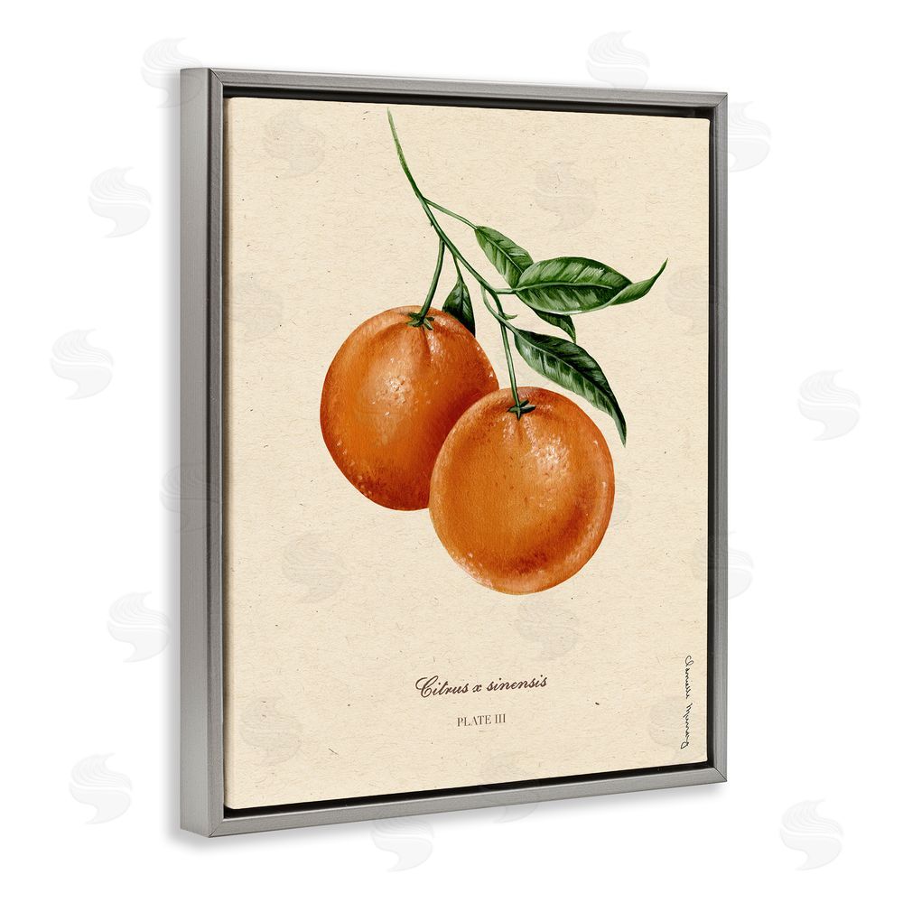 Danielle Murray Orange Fruit Portrait Gray Floating Frame Canvas Wall Art Print