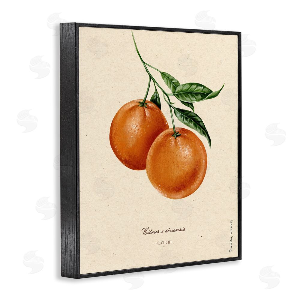 Danielle Murray Orange Fruit Portrait Black Framed Giclee Wall Art Print