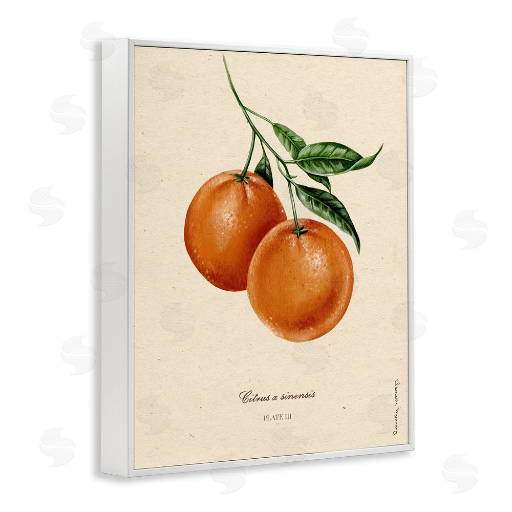 Danielle Murray Orange Fruit Portrait White Framed Giclee Wall Art Print