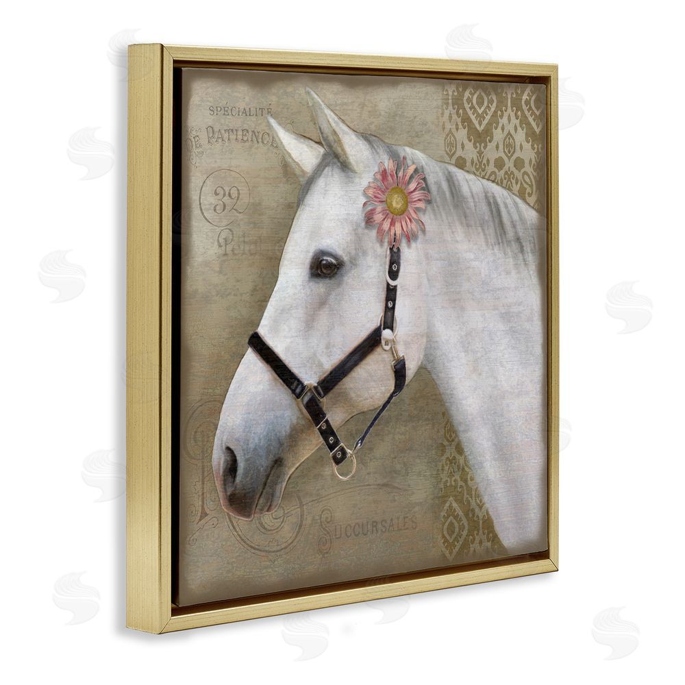 Suzanne Nicoll Boho Barnyard Horse Gold Floating Frame Canvas Wall Art Print