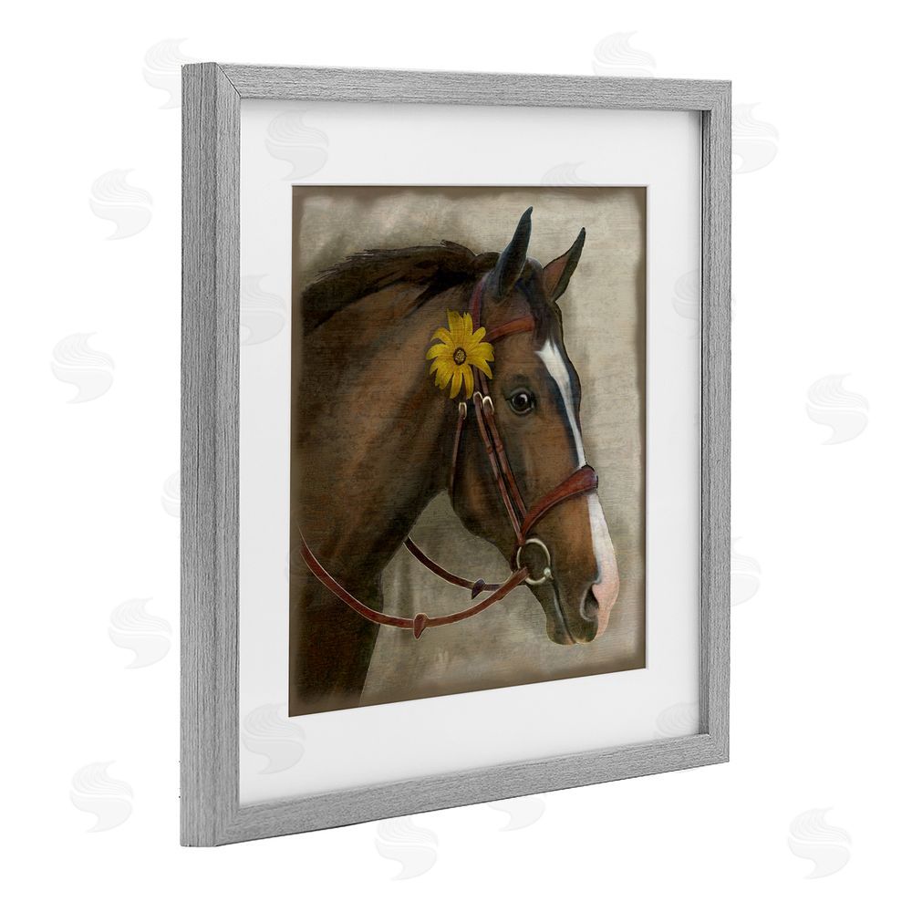 Suzanne Nicoll Barnyard Horse with Daisy Gray Framed Print Under Glass Wall Art