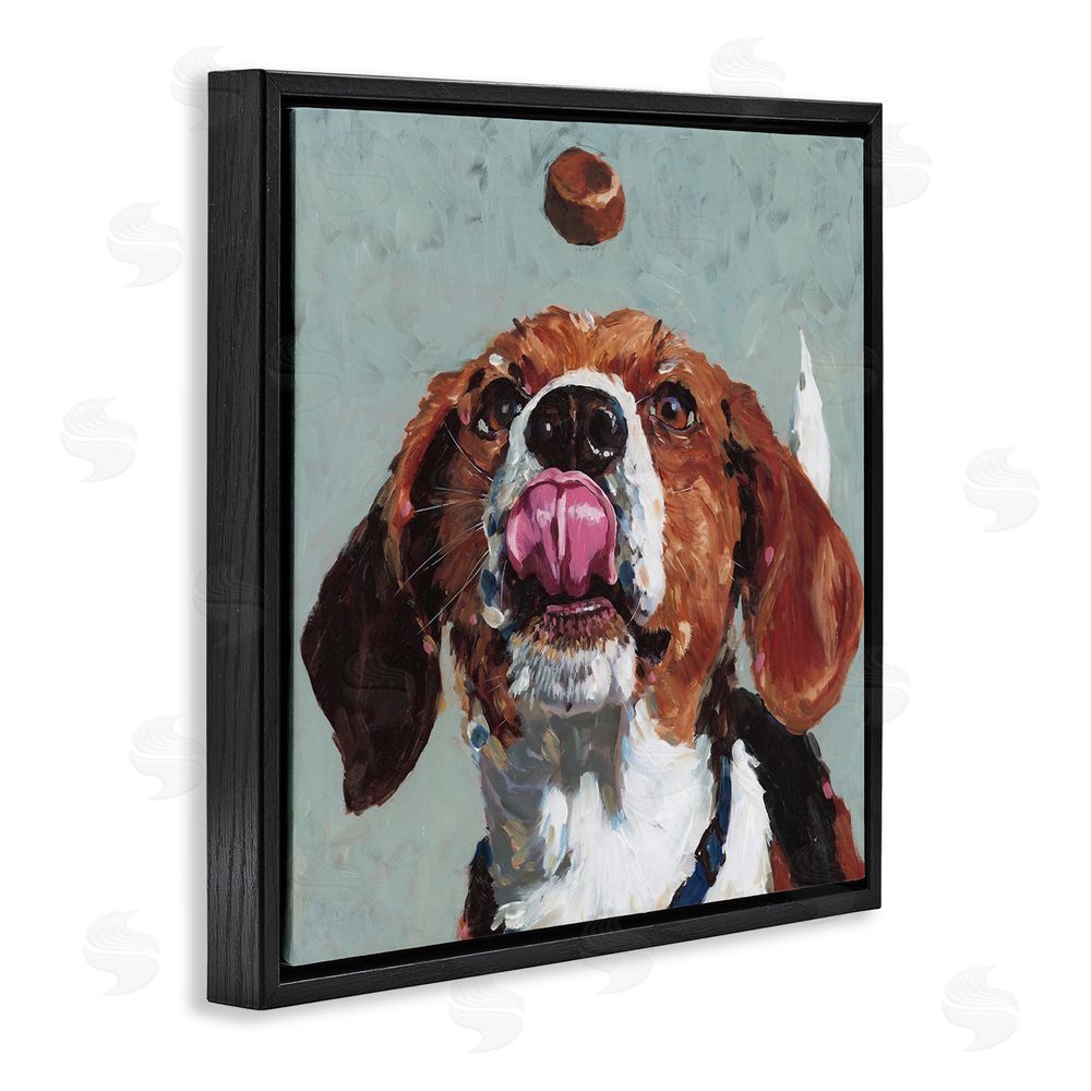 Studio Bautista Beagle Treat Excitement Black Floating Frame Canvas Wall Art Print