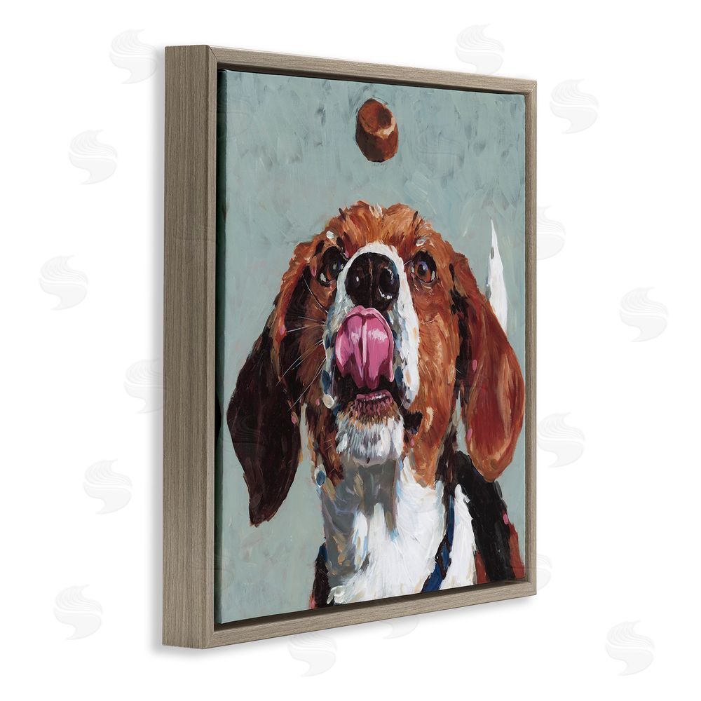 Studio Bautista Beagle Treat Excitement Brown Floating Frame Canvas Wall Art Print