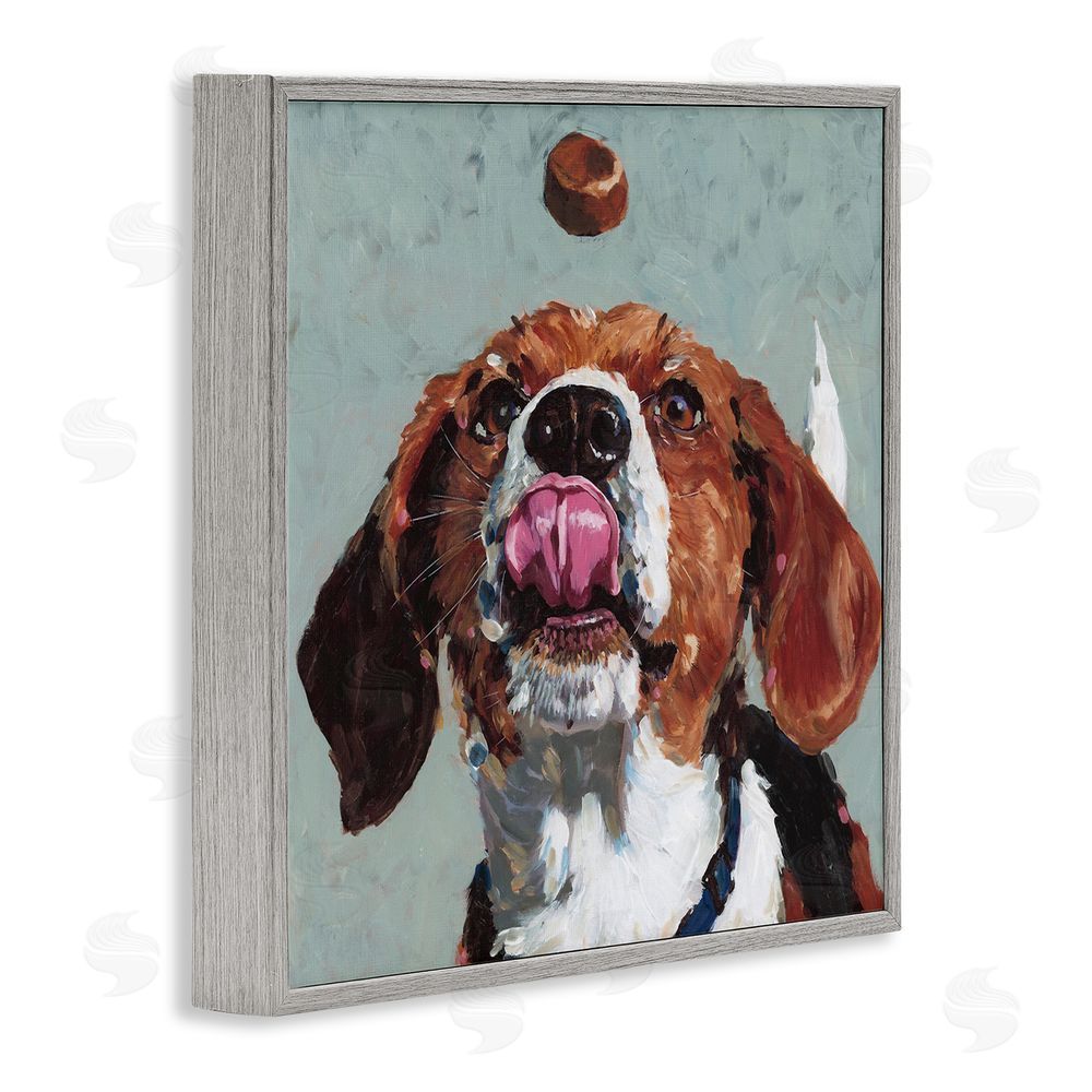 Studio Bautista Beagle Treat Excitement Gray Framed Giclee Wall Art Print