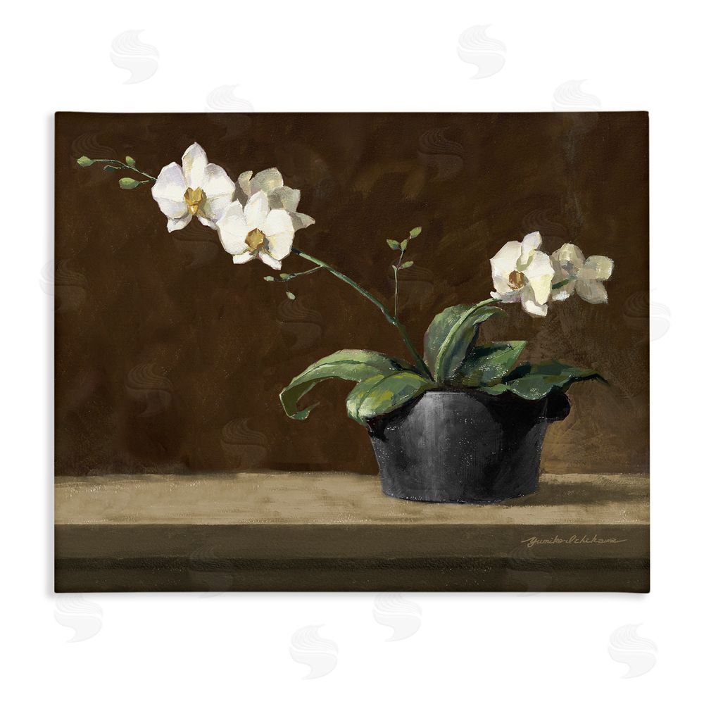 Yumiko Ichikawa Potted White Orchid on Ledge Stretched Canvas Wall Art Print