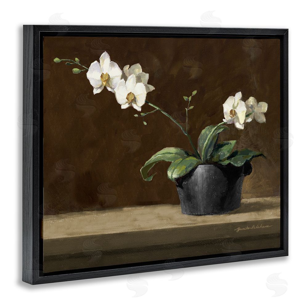 Yumiko Ichikawa Potted White Orchid on Ledge Black Floating Frame Canvas Wall Art Print