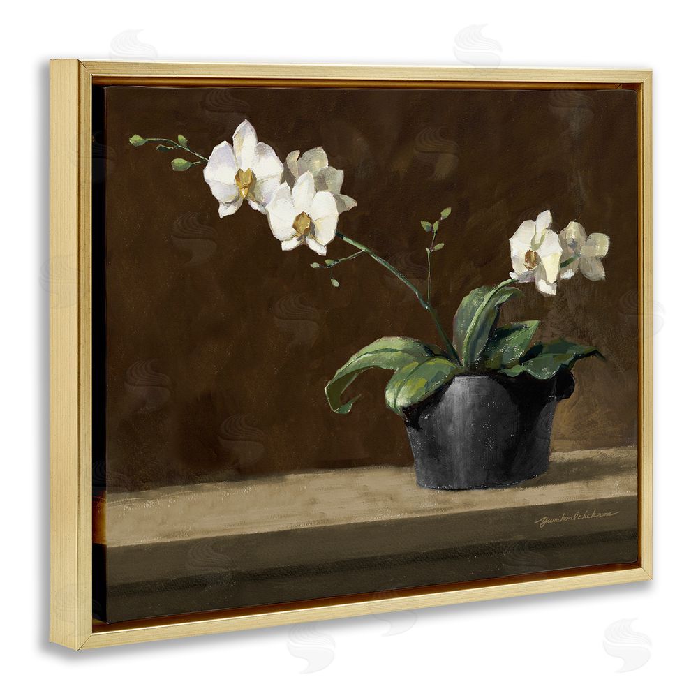 Yumiko Ichikawa Potted White Orchid on Ledge Gold Floating Frame Canvas Wall Art Print