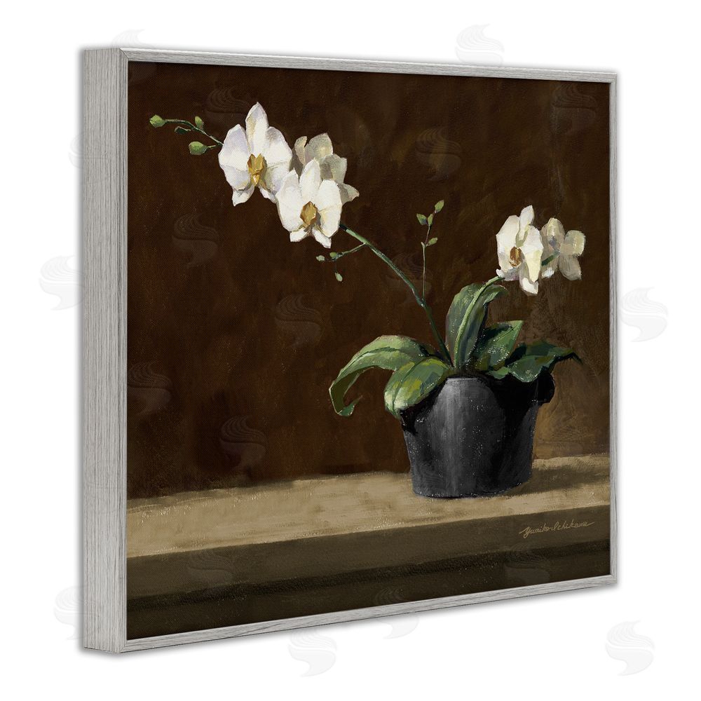 Yumiko Ichikawa Potted White Orchid on Ledge Gray Framed Giclee Wall Art Print