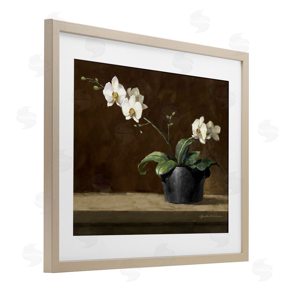 Yumiko Ichikawa Potted White Orchid on Ledge Brown Framed Print Under Glass Wall Art
