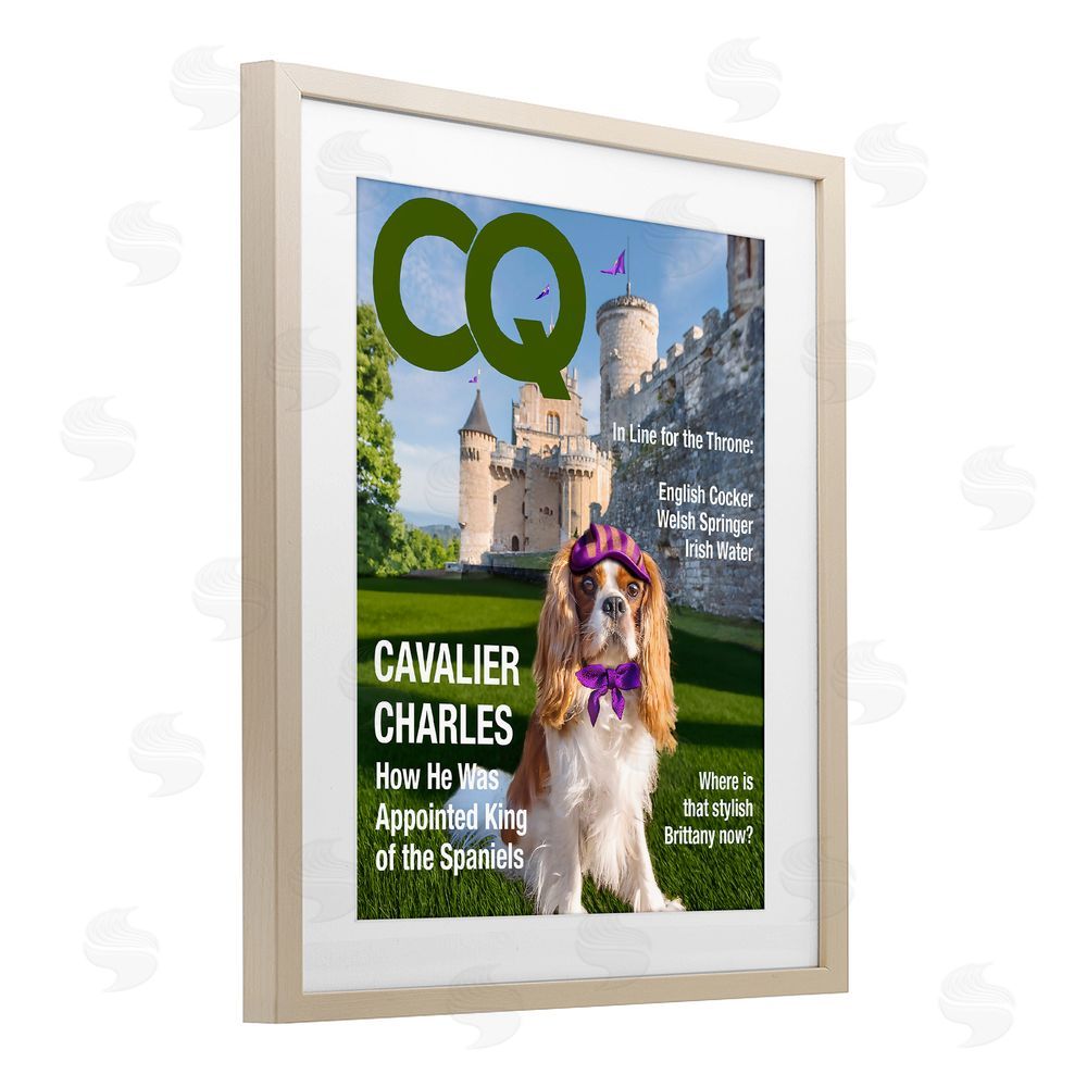 Grotto Studios Royal Cavalier Magazine Birch Framed Print Under Glass Wall Art