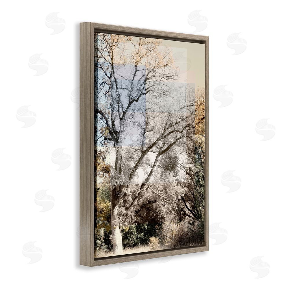 Gemma Bardot Tree Collage Layers Brown Floating Frame Canvas Wall Art Print