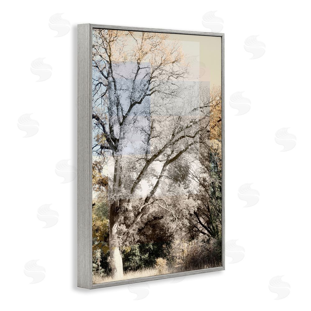 Gemma Bardot Tree Collage Layers Gray Framed Giclee Wall Art Print