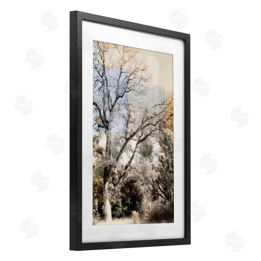 Gemma Bardot Tree Collage Layers Black Framed Print Under Glass Wall Art