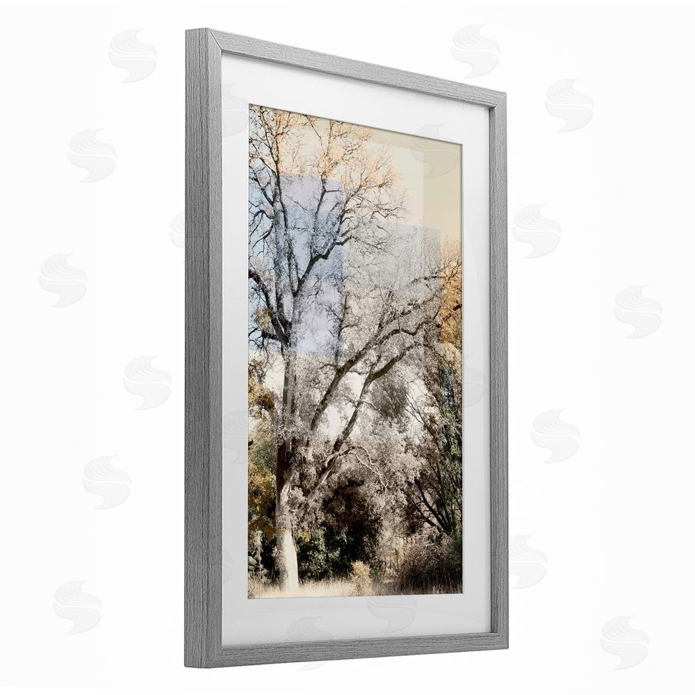 Gemma Bardot Tree Collage Layers Gray Framed Print Under Glass Wall Art