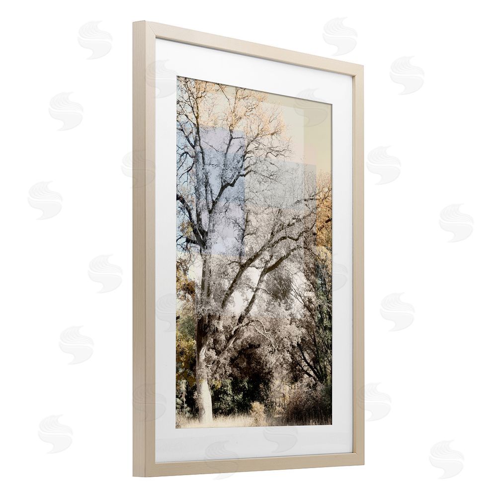 Gemma Bardot Tree Collage Layers Brown Framed Print Under Glass Wall Art