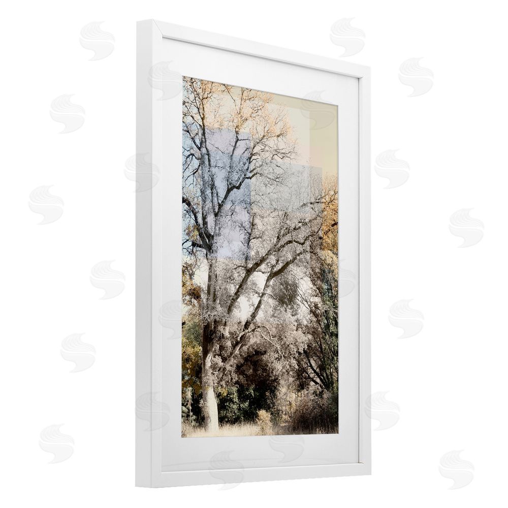 Gemma Bardot Tree Collage Layers White Framed Print Under Glass Wall Art