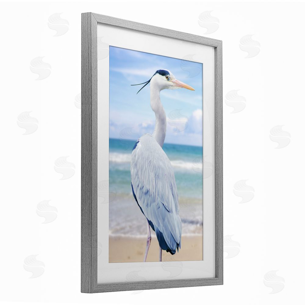 Marcus Prime Vacationing Heron by Seaside Gray Framed Print Under Glass Wall Art