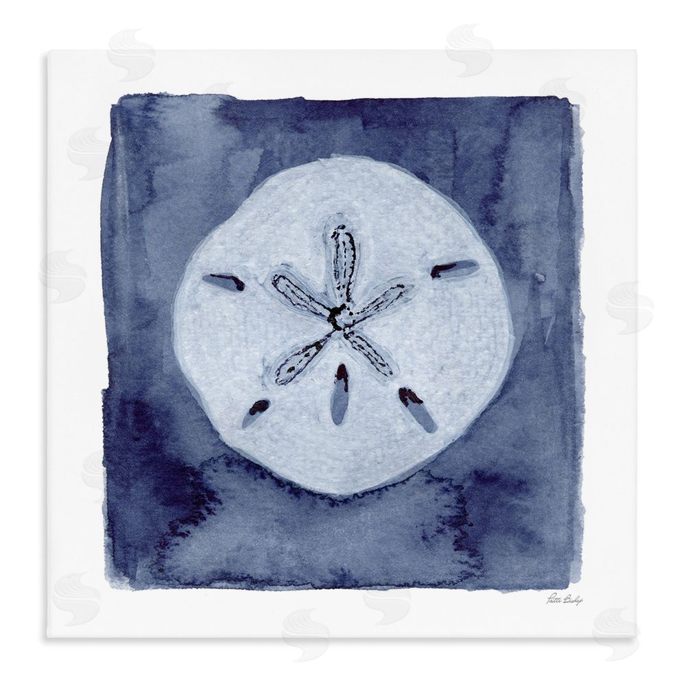 Patti Bishop White Sand Dollar on Indigo Stretched Canvas Wall Art Print