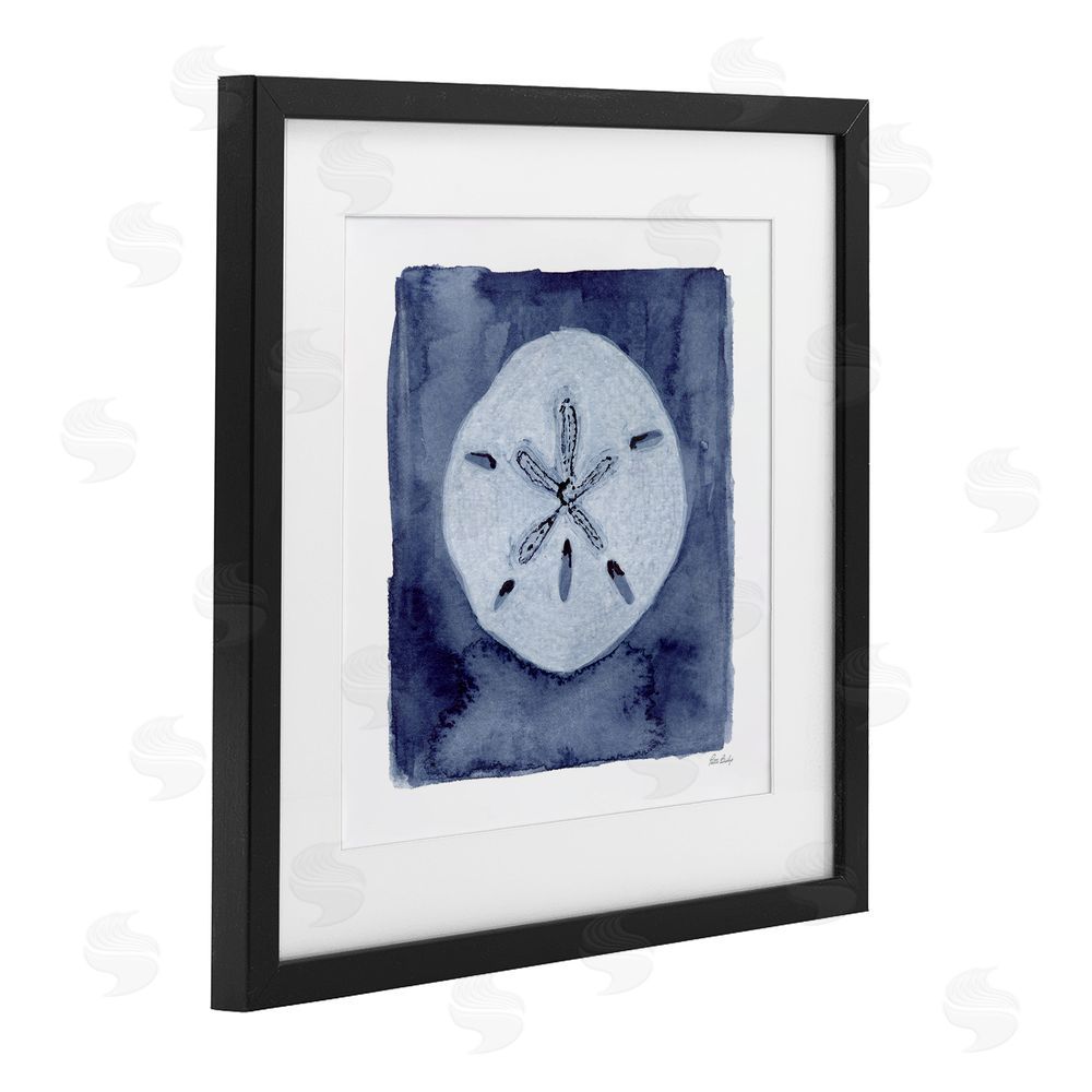 Patti Bishop White Sand Dollar on Indigo Black Framed Print Under Glass Wall Art