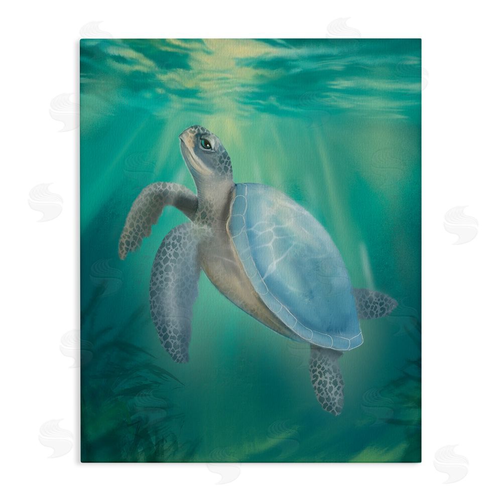 Matthew Piotrowicz Coastal Beach Sea Turtle Stretched Canvas Wall Art Print
