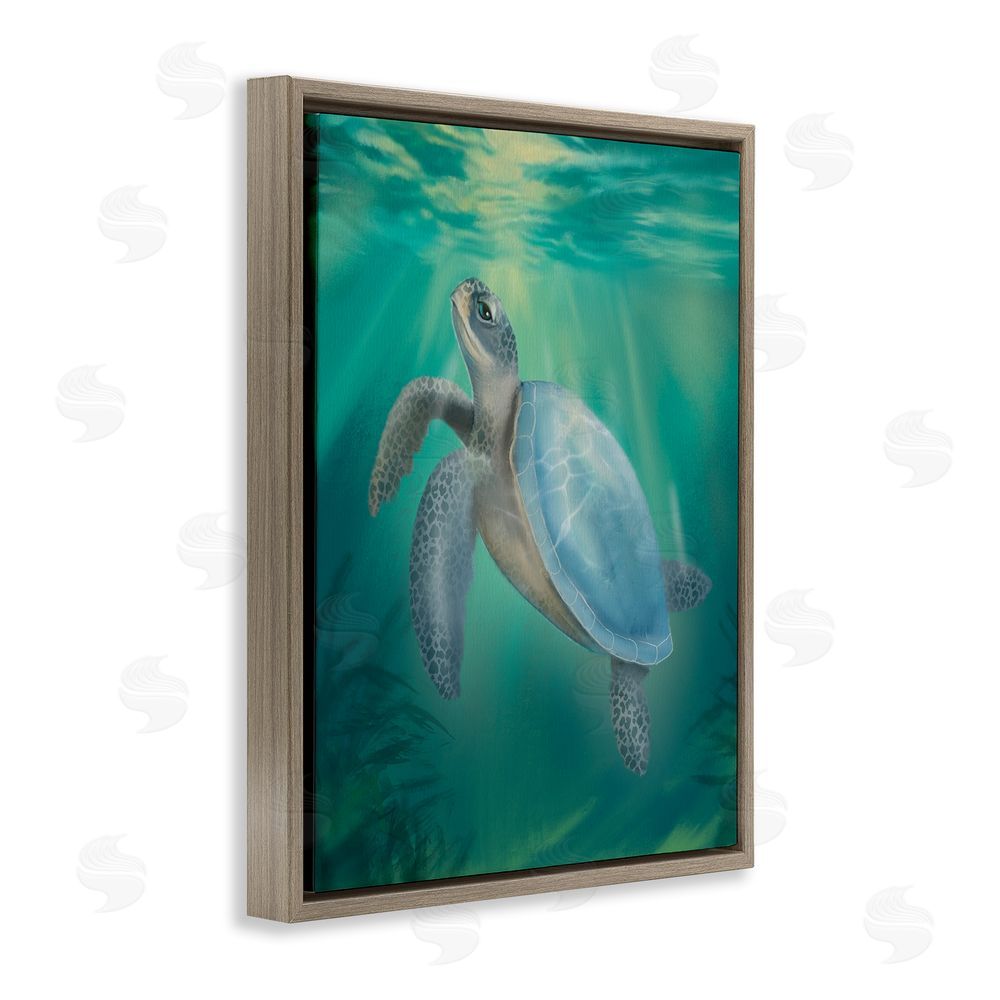 Matthew Piotrowicz Coastal Beach Sea Turtle Brown Floating Frame Canvas Wall Art Print