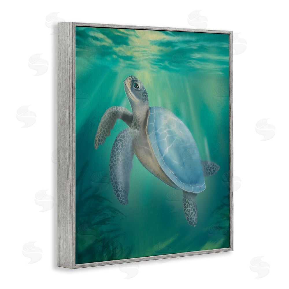 Matthew Piotrowicz Coastal Beach Sea Turtle Gray Framed Giclee Wall Art Print