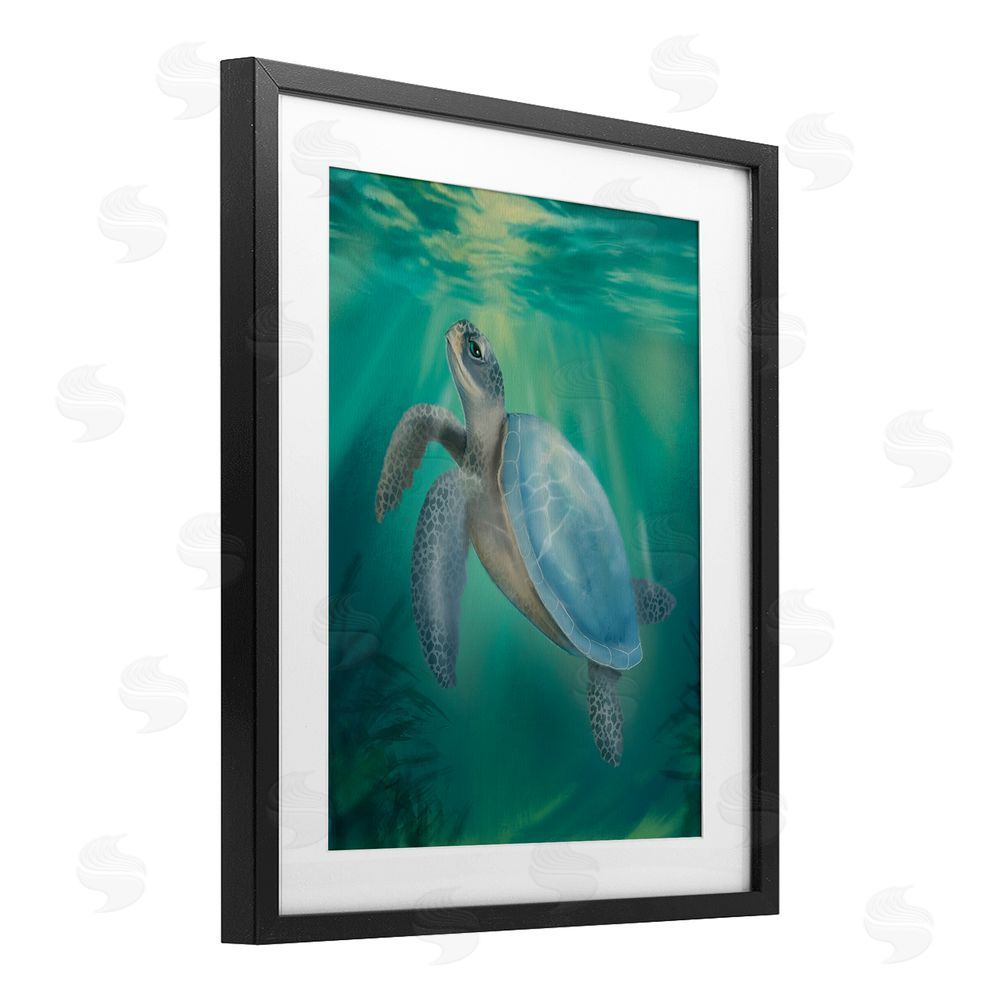 Matthew Piotrowicz Coastal Beach Sea Turtle Black Framed Print Under Glass Wall Art