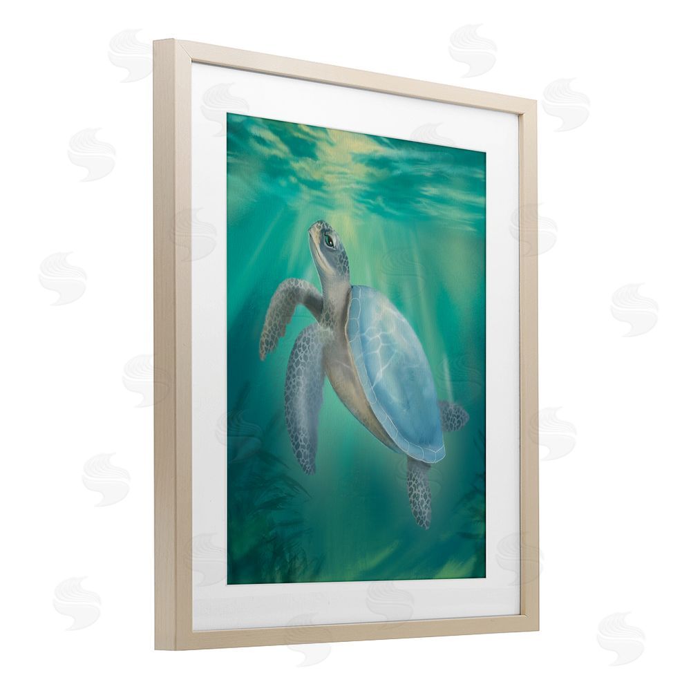 Matthew Piotrowicz Coastal Beach Sea Turtle Brown Framed Print Under Glass Wall Art