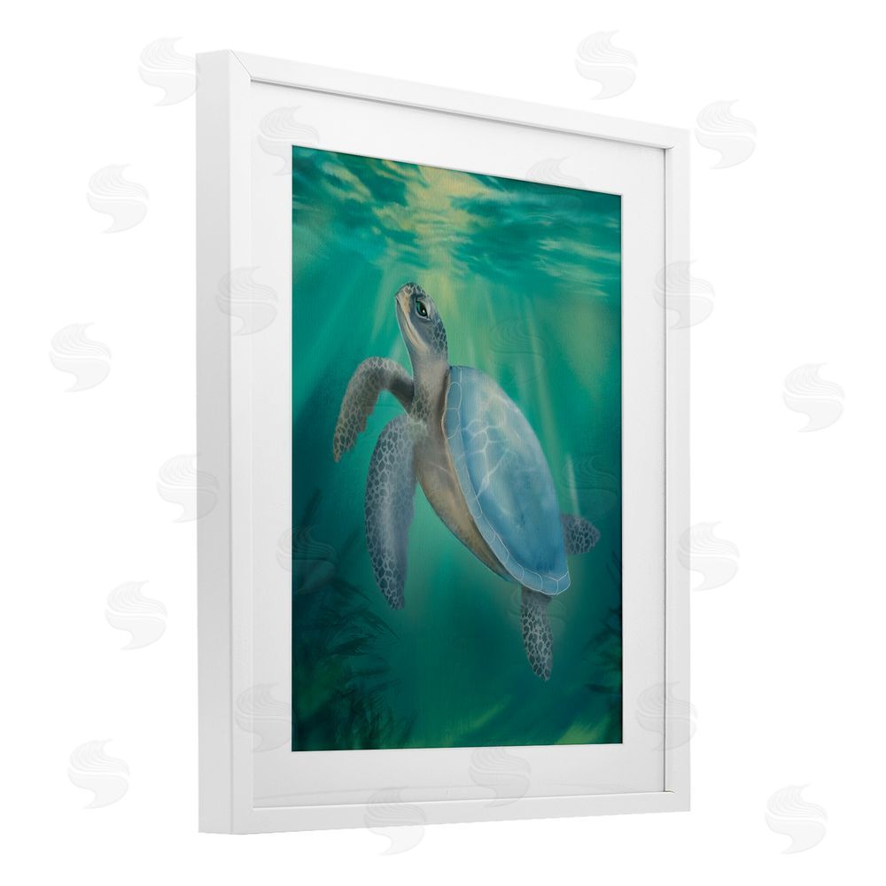 Matthew Piotrowicz Coastal Beach Sea Turtle White Framed Print Under Glass Wall Art