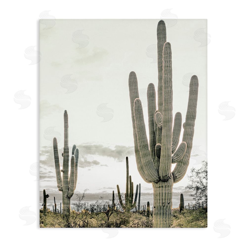 Kim Allen Subdued Desert Cacti Stretched Canvas Wall Art Print