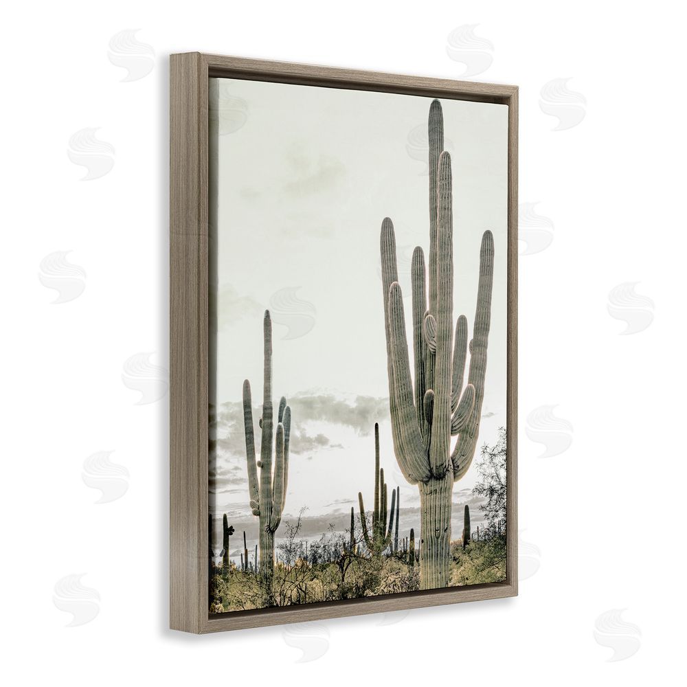 Kim Allen Subdued Desert Cacti Brown Floating Frame Canvas Wall Art Print