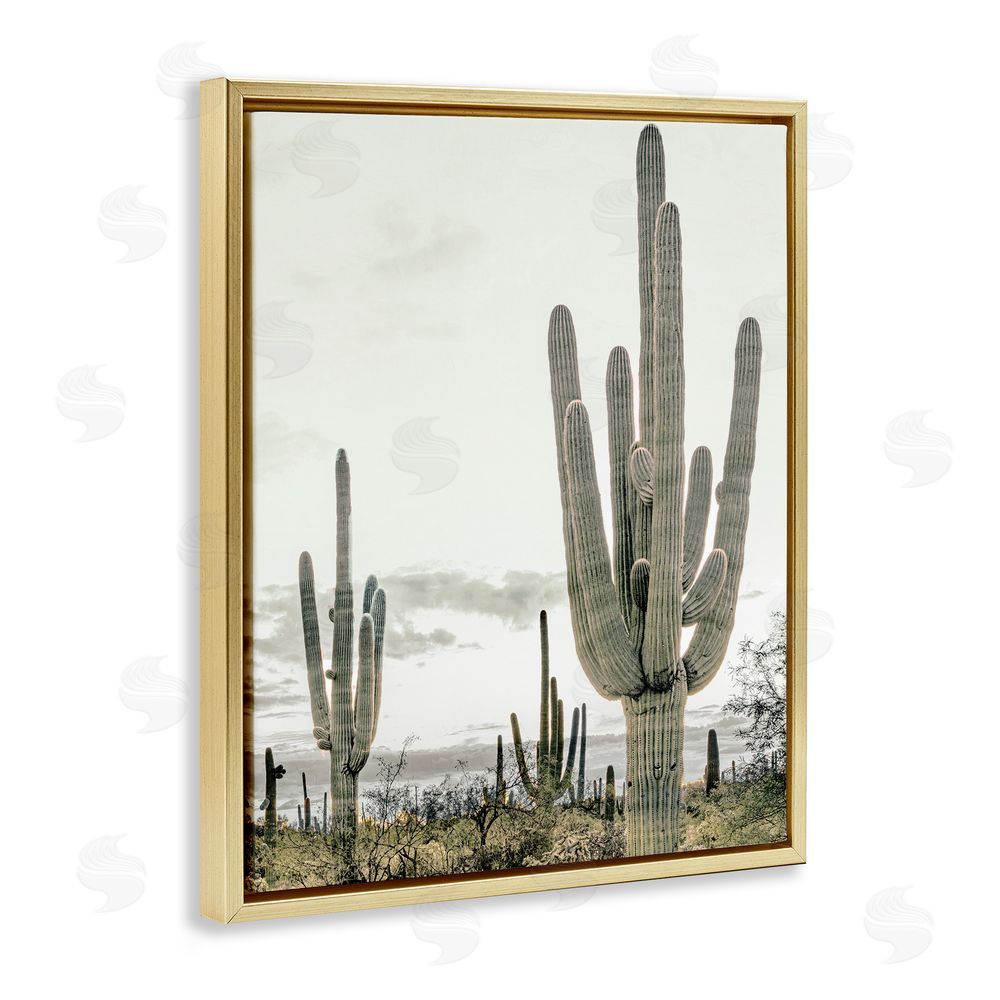 Kim Allen Subdued Desert Cacti Gold Floating Frame Canvas Wall Art Print