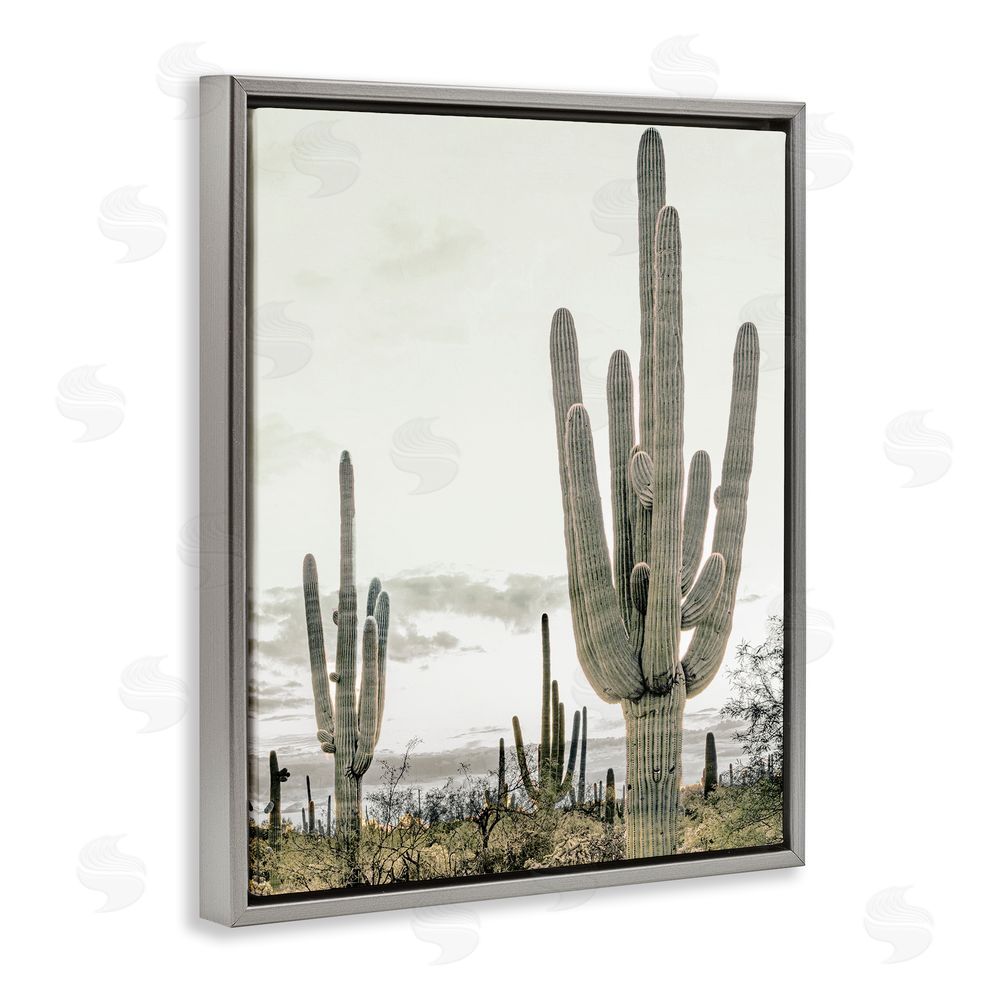 Kim Allen Subdued Desert Cacti Gray Floating Frame Canvas Wall Art Print