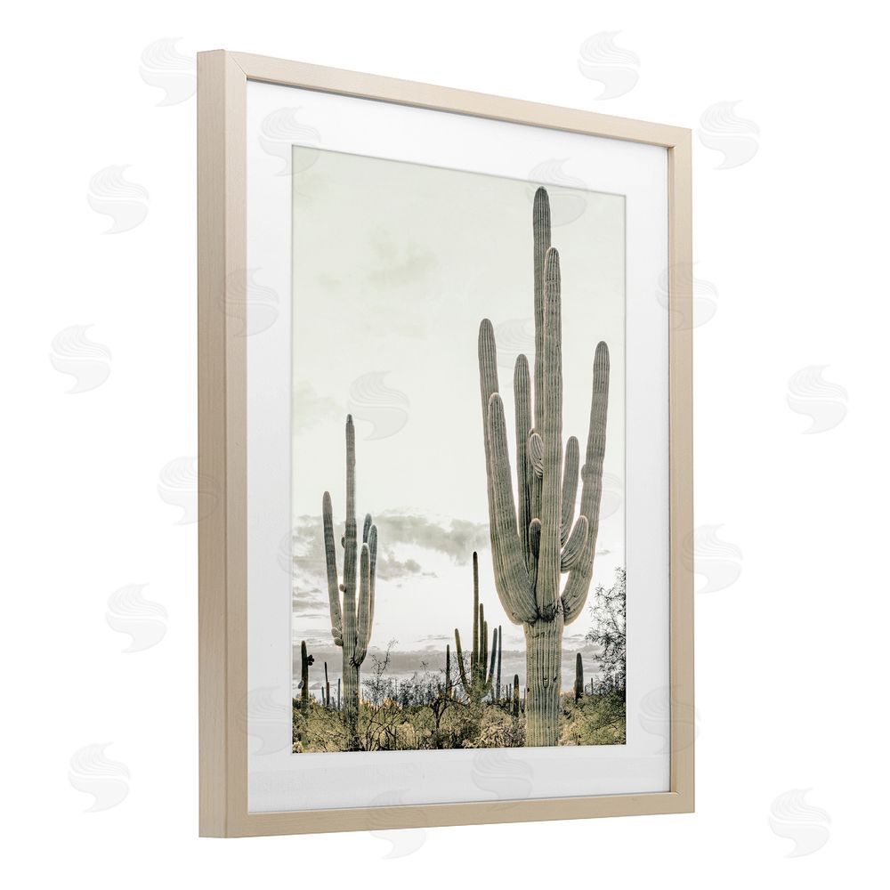 Kim Allen Subdued Desert Cacti Brown Framed Print Under Glass Wall Art