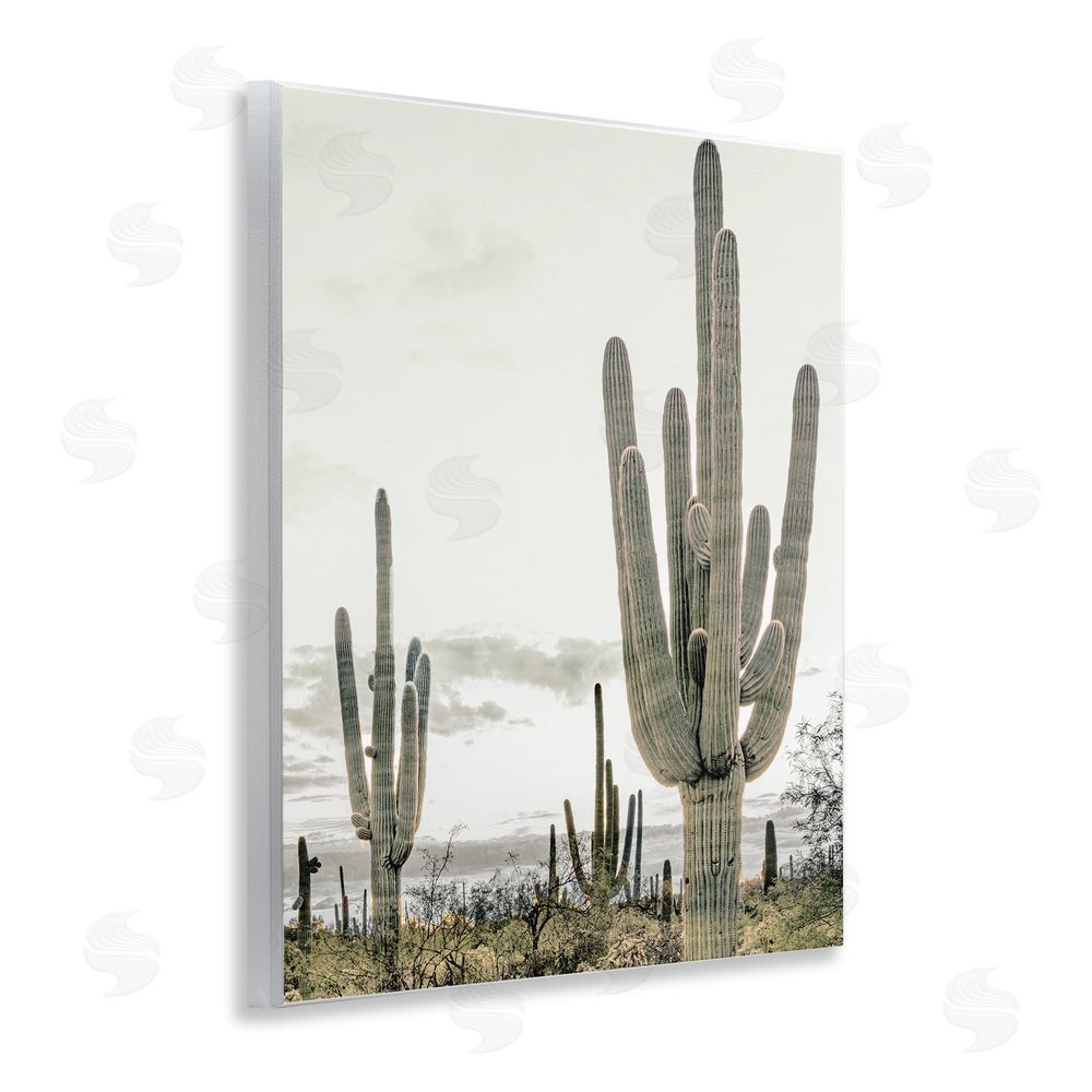 Kim Allen Subdued Desert Cacti Wooden Wall Plaque Art Print