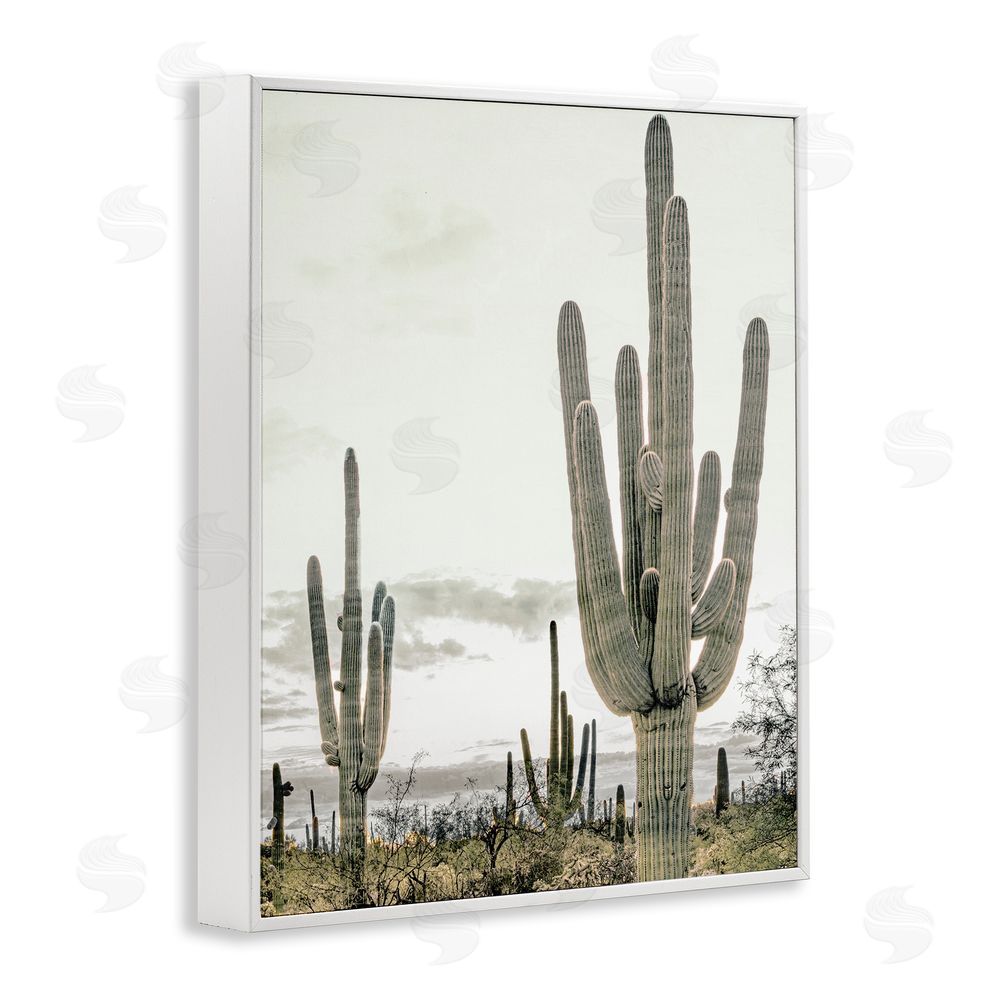 Kim Allen Subdued Desert Cacti White Framed Giclee Wall Art Print
