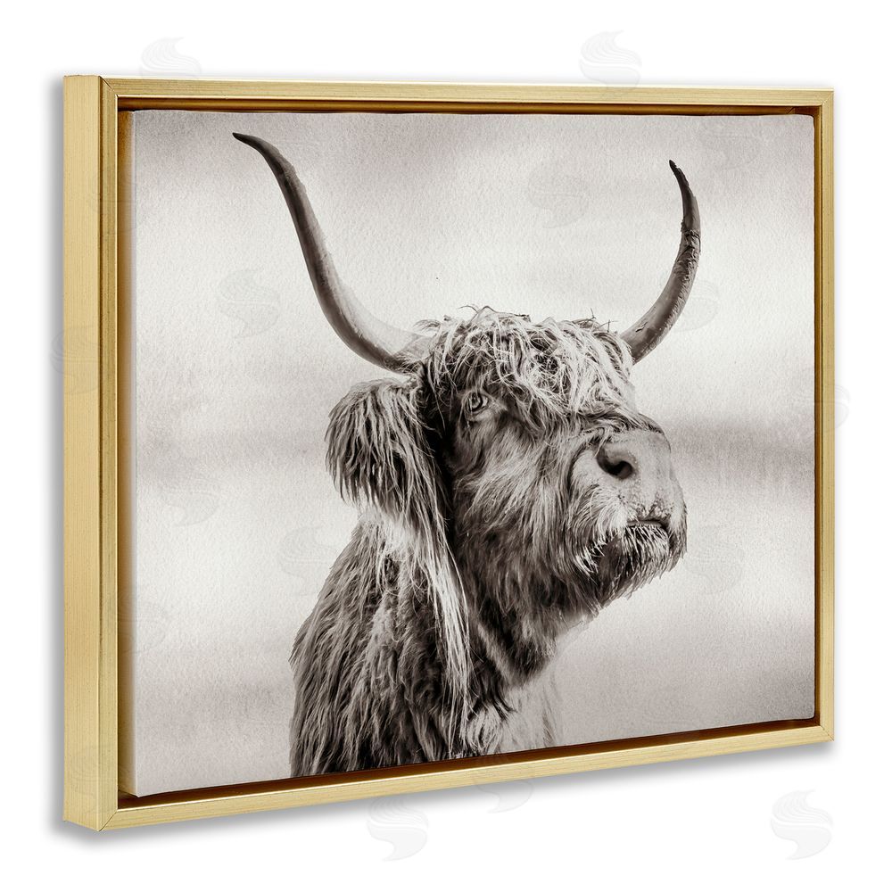 Julia Frost Horned Highland Cow Gazing Gold Floating Frame Canvas Wall Art Print