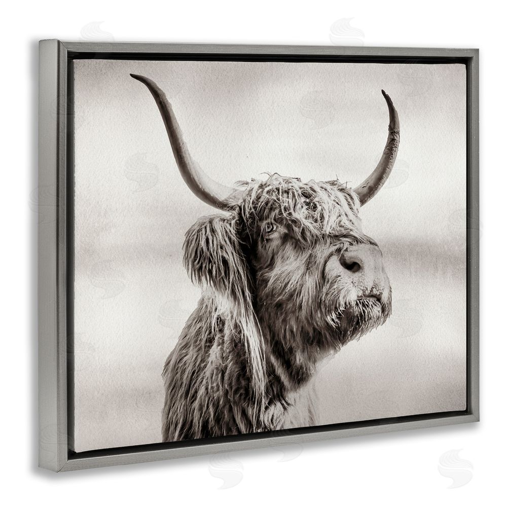 Julia Frost Horned Highland Cow Gazing Gray Floating Frame Canvas Wall Art Print