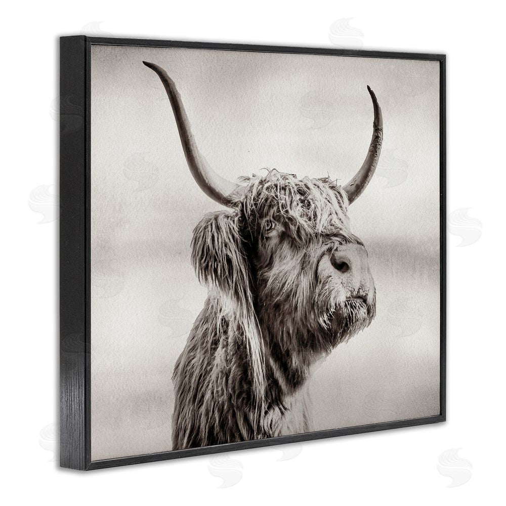 Julia Frost Horned Highland Cow Gazing Black Framed Giclee Wall Art Print