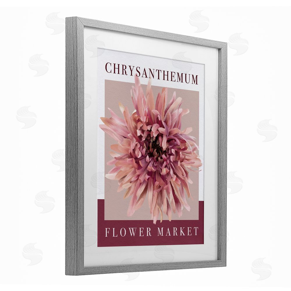 Jennifer Stith Chrysanthemum Flower Market Gray Framed Print Under Glass Wall Art