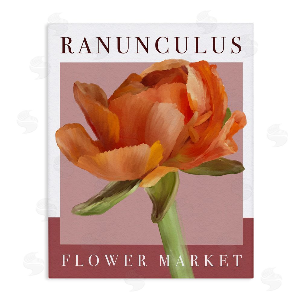 Jennifer Stith Ranunculus Flower Market Stretched Canvas Wall Art Print