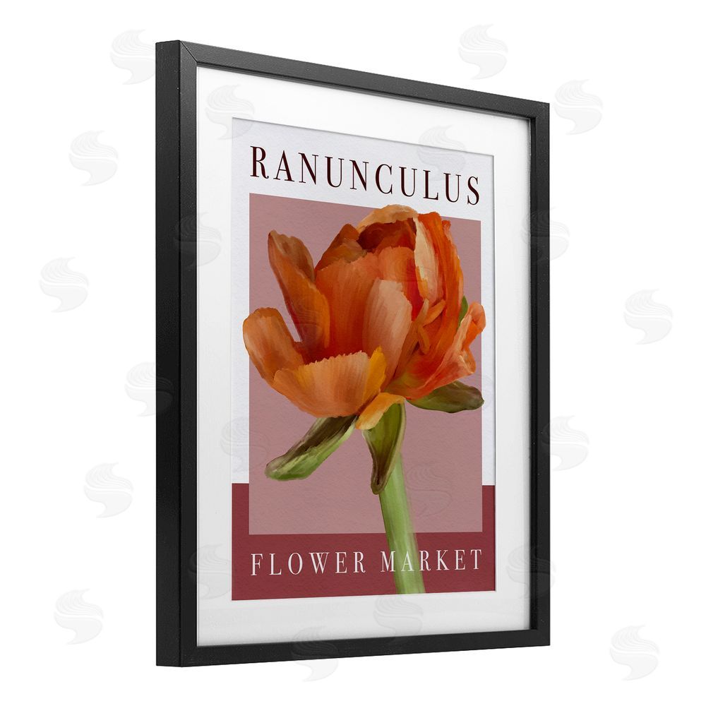 Jennifer Stith Ranunculus Flower Market Black Framed Print Under Glass Wall Art