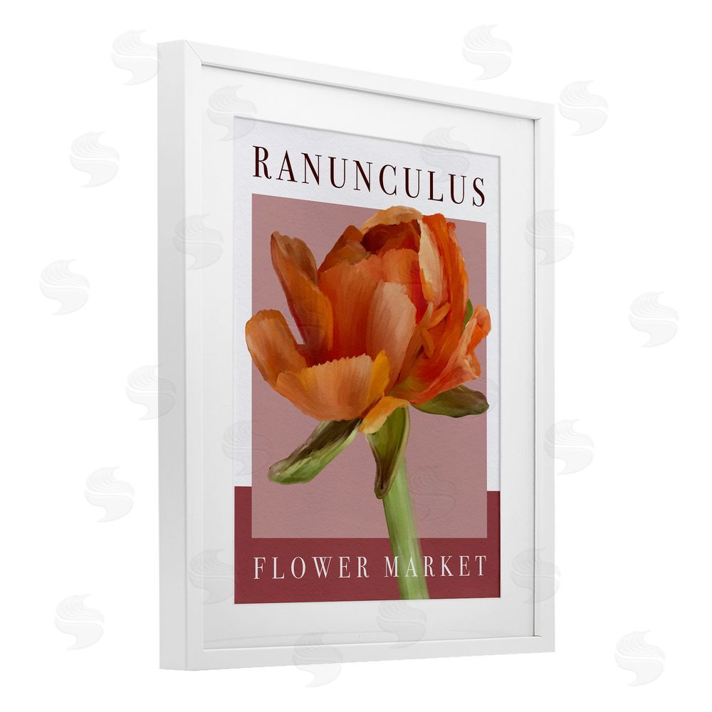 Jennifer Stith Ranunculus Flower Market White Framed Print Under Glass Wall Art