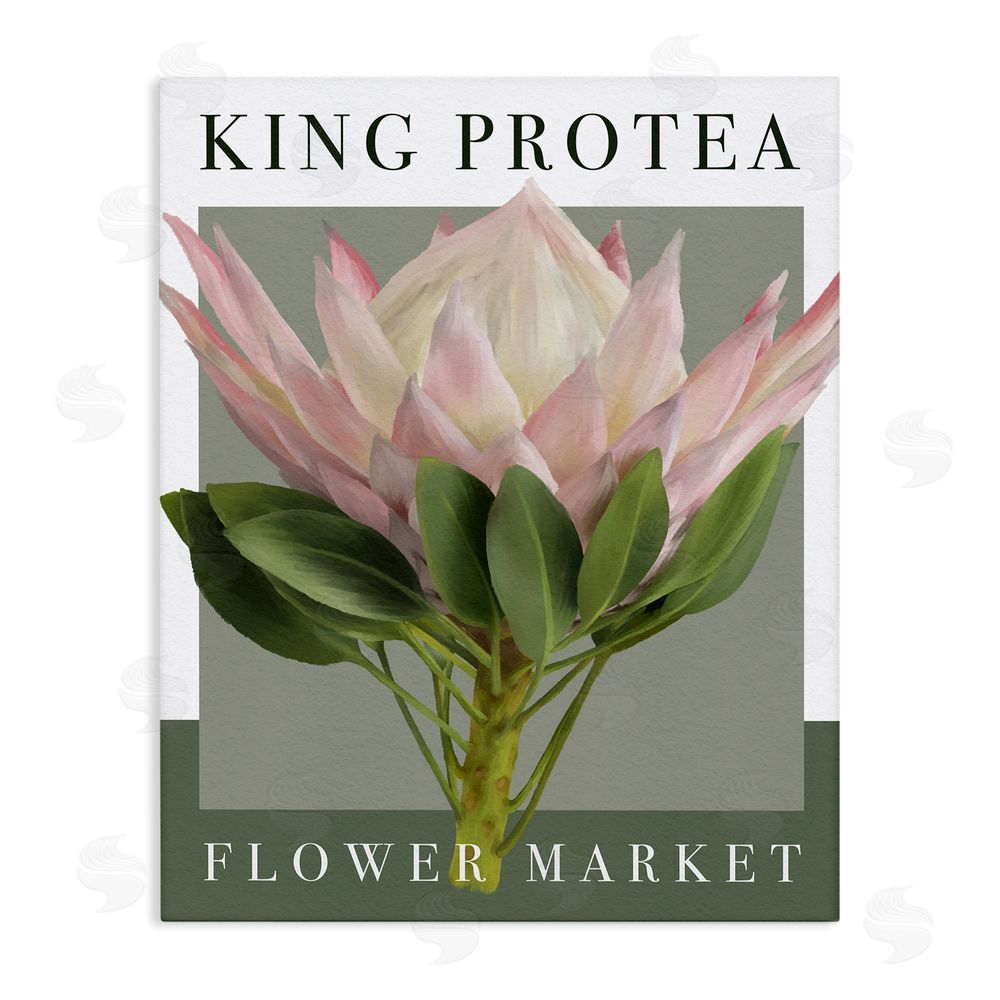 Jennifer Stith King Protea Flower Market Stretched Canvas Wall Art Print