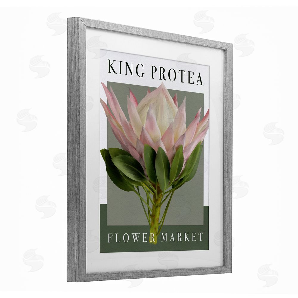 Jennifer Stith King Protea Flower Market Gray Framed Print Under Glass Wall Art